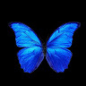 Meet your Posher, Joy